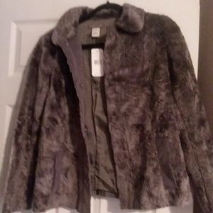 Sigrid Olsen coat